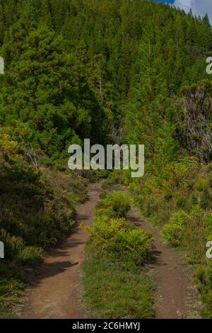 Sentier de randonnée de Gruta do natal sur l'île de Terceira aux Açores. Banque D'Images