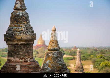 Pagodes et stupas dans le Vieux Bagan, Myanmar Banque D'Images