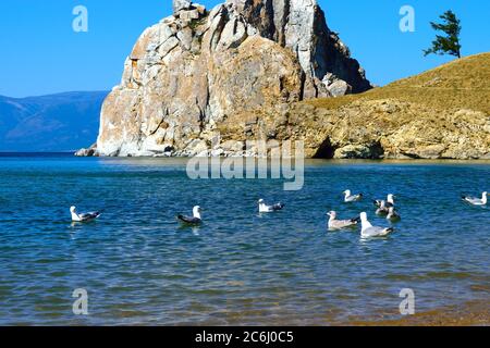 Une écluse de goélands sur l'eau en face de Shaman Rock sur l'île d'Olkhon, lac Baikal, Russie Banque D'Images