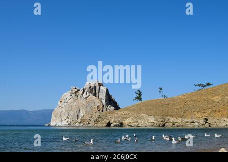 Une écluse de goélands sur l'eau en face de Shaman Rock sur l'île d'Olkhon, lac Baikal, Russie Banque D'Images