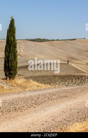 Pienza, Italie - 13 septembre 2011 : le paysage rural près de Pienza en Toscane. Italie Banque D'Images