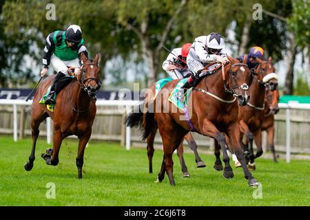 Ben Curtis, à cheval Dandalla (étoile blanche/noire), remporte les enjeux de la duchesse de Cambridge au cours du deuxième jour du festival de juillet Moet et Chandon à l'hippodrome de Newmarket. Banque D'Images