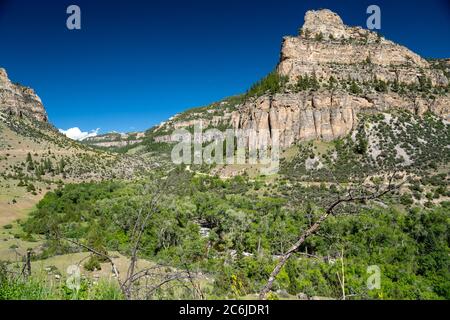 Le canyon de Tensleep, coloré et luxuriant, le long de la route panoramique Cloud Peak (US Highway 16) dans la forêt nationale de Bighorn du Wyoming en été Banque D'Images