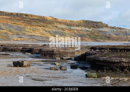 Vue sur les crêtes rocheuses des Spittles près de Lyme Regis sur la côte jurassique à Dorset à marée basse sur un calme, ensoleillé hiver jour Banque D'Images