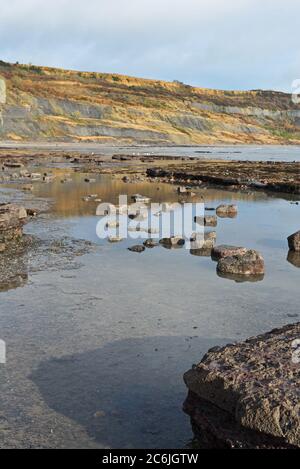 Vue sur les crêtes rocheuses des Spittles près de Lyme Regis sur la côte jurassique à Dorset à marée basse sur un calme, ensoleillé hiver jour Banque D'Images