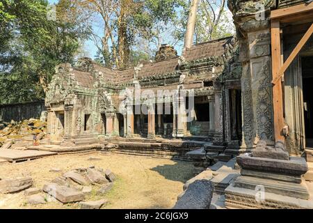 Complexe de temple de TA Prohm, Siem Reap, Cambodge, Asie Banque D'Images