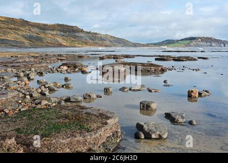 Vue à travers les crêtes rocheuses des Spittles vers le Cap d'Or près de Lyme Regis dans Dorset à marée basse sur un calme, ensoleillé hiver jour Banque D'Images