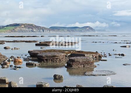 Vue à travers les crêtes rocheuses des Spittles vers le Cap d'Or près de Lyme Regis dans Dorset à marée basse sur un calme, ensoleillé hiver jour Banque D'Images