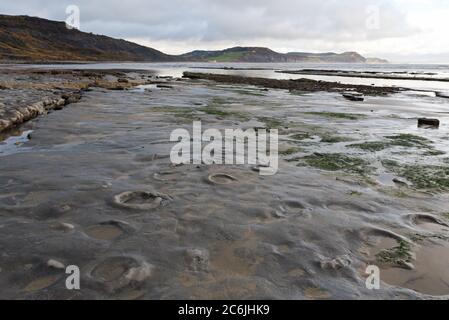 Vue à travers les ammonites dans les crêtes rocheuses de la large lisière près de Lyme Regis dans Dorset à marée basse sur un calme, couvert hivers jour Banque D'Images