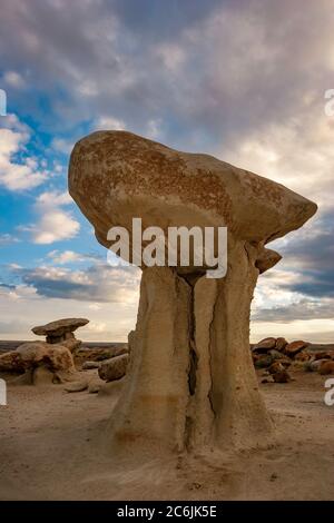 'Mchampignon » De-Na rock, Bisti Wilderness Area-Zin, Nouveau Mexique USA Banque D'Images