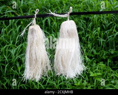 Odapoovu ou fleur de bambou, fait de bambou battu, une offre spéciale au temple Kottiyoor. Le temple Kottiyoor est un temple Shiva important à Kannur Disri Banque D'Images