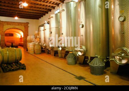 Cave avec récipients en acier pour la fermentation du vin Banque D'Images