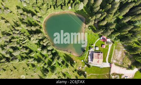 Lac alpin en été entouré par une belle forêt, vue aérienne en hauteur. Banque D'Images