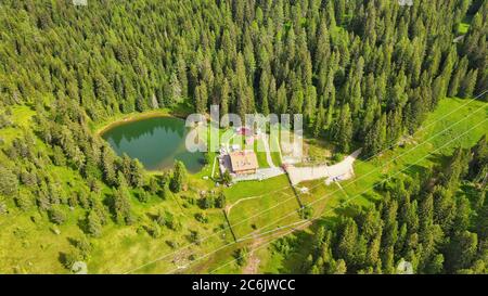 Lac alpin en été entouré par une belle forêt, vue aérienne en hauteur. Banque D'Images