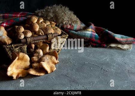 Champignons de la forêt miel agarics dans le panier (Armillaria mellea). Automne composition encore-vie. Champignons sauvages crus pour la cuisson, foulard sur table sombre. Copier Banque D'Images