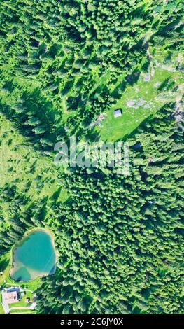 Lac alpin en été entouré par une belle forêt, vue aérienne en hauteur. Banque D'Images