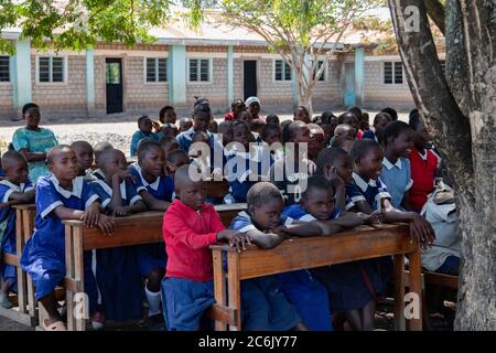 Un groupe d'enfants de l'école écoutent une présentation tout en étant assis à un bureau sous un arbre ombragé avec leur professeur regardant Banque D'Images