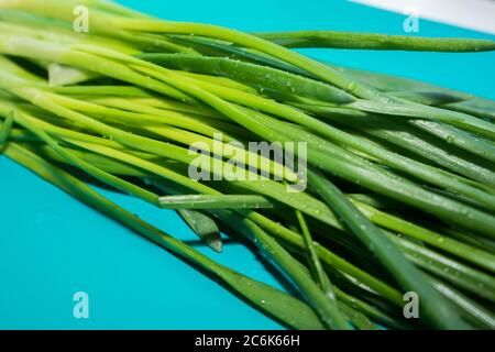 oignons verts juteux humides lavés sur un plateau bleu. Banque D'Images