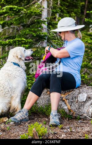 Une rancheuse femelle s'arrête pour donner un cadeau à son chien Golden Retriever de couleur platine, Monarch Mountain, Colorado Rocky Mountains, Colorado, États-Unis Banque D'Images