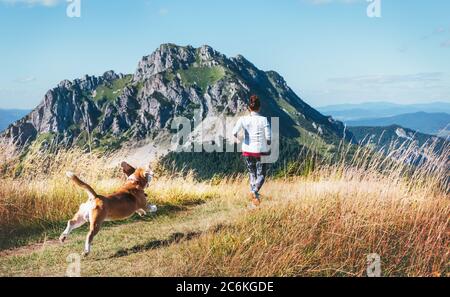 Femelle qui court dans le chemin de montage avec son chien beagle vue arrière. Image concept de mode de vie sain de canicross. Banque D'Images