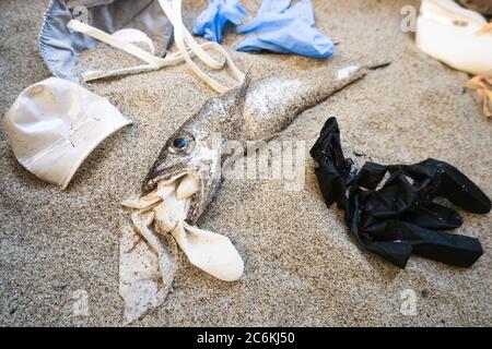 Déchets médicaux en plastique et bouche de poisson de morue morte, pollution des déchets jetables sur la côte sablonneuse de la mer, concept de coronavirus Banque D'Images