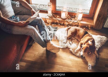 Homme lisant le livre sur le canapé confortable près de glisser son chien de beagle sur peau de mouton dans une atmosphère confortable de maison. Un concept de maison confortable pour des moments paisibles. Banque D'Images