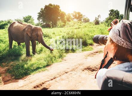 Une photographe féminine prend une photo avec un appareil photo professionnel avec téléobjectif d'un véhicule touristique sur le thème tropical lors d'un safari dans le parc naturel national U Banque D'Images