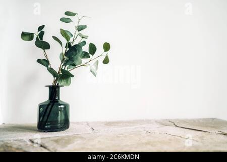 Branche d'arbre verte putée dans un vase en verre noir sur l'étagère en pierre naturelle sur le fond de mur blanc éclairé avec une lumière de fenêtre latérale. Confortable h Banque D'Images