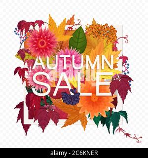 Bannière de réduction de vente d'automne sur le fond alpha transperant. Affiche d'automne moderne avec feuilles, fleurs et baies de feuillage orange doré Illustration de Vecteur