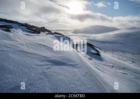 Parc national de Dovrefjell, de norvège. Paysage arctique. Banque D'Images