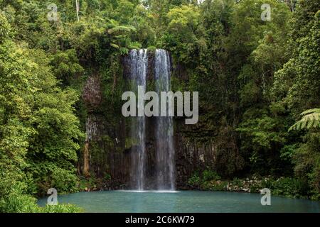 Millaa Millaa Falls se trouve dans le circuit des chutes d'eau sur les plateaux d'Atherton dans le nord tropical du Queensland, en Australie Banque D'Images