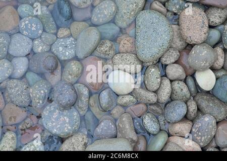 3 - les galets de différentes tailles avec un petit revêtement d'algues sont à moitié immergés dans la mer. Fond d'eau et d'océan. Banque D'Images