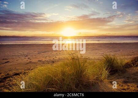 Dunes de sable à la plage de l'océan Pacifique, Nouvelle-Zélande Banque D'Images