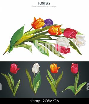 Bouquet de tulipes de printemps colorées, isolé sur fond blanc Illustration de Vecteur