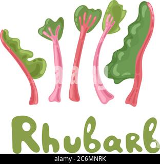 Rhubarb stock clipart. Icône de couleur légume. Illustration vectorielle rhubarb entière, icône plate de dessin animé isolée sur blanc. Feuilles de rhubarbe, plante comestible Illustration de Vecteur