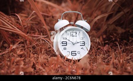 Réveil blanc au milieu de l'herbe rose ou rouge, concept de temps de forêt de fond parfait Banque D'Images