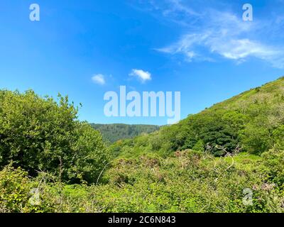 Colline boisée autour de Sulby dans la belle campagne de l'île de Man Banque D'Images