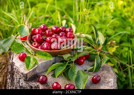 Close up de tas de cerises mûres avec les tiges et les feuilles Banque D'Images