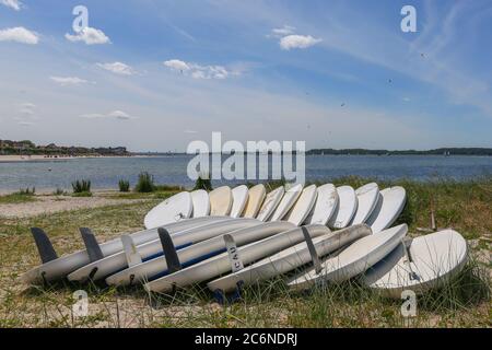 Paddleboards alignés sur la plage Baltique de Laboe, en Allemagne, palmes exposées, prêtes pour les sports nautiques au bord de la mer calme et du rivage lointain. Banque D'Images