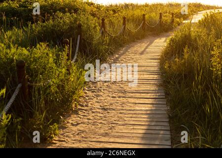 Sentier écologique de randonnée dans le parc national à travers les dunes de sable, la plage, les épaissis et les plantes de la cague, chemin en bois à travers l'environnement protégé. PLA sauvage Banque D'Images