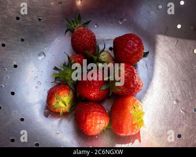 fraises dans une passoire Banque D'Images