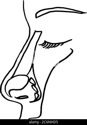 Tracé de contour vectoriel du nasopharynx. Modèle modifiable de conception médicale Illustration de Vecteur