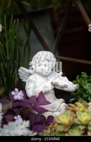 Petit ange jouant du violon parmi les fleurs Banque D'Images