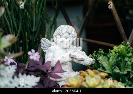 Petit ange jouant du violon parmi les fleurs Banque D'Images