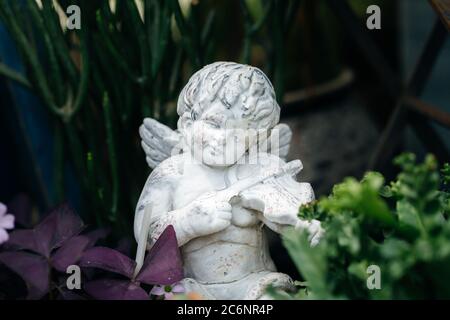 Petit ange jouant du violon parmi les fleurs Banque D'Images