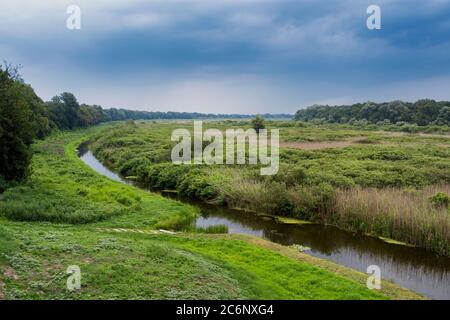 Étang d'Obedska (Obedska bara) vaste marais et forêt et réserve naturelle spéciale le long de la rivière Sava en Serbie Banque D'Images