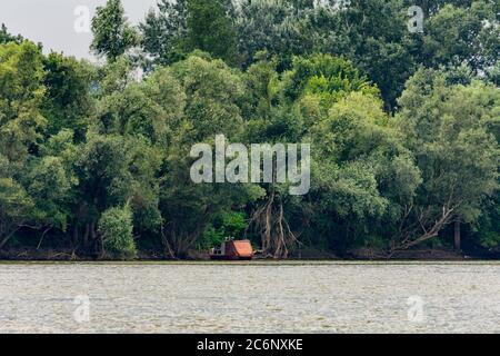 Rivière Sava près de l'étang Obedska (Obedska bara) vaste marais et forêt et réserve naturelle spéciale le long de la rivière Sava en Serbie Banque D'Images