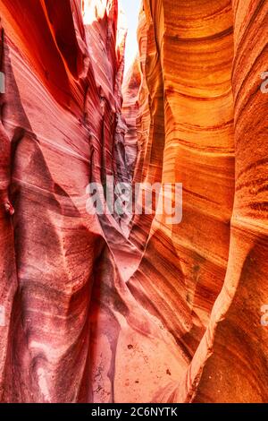 Hidden Slot Canyon dans la terre de Grand Staircase Escalante National Monument, Utah, États-Unis Banque D'Images