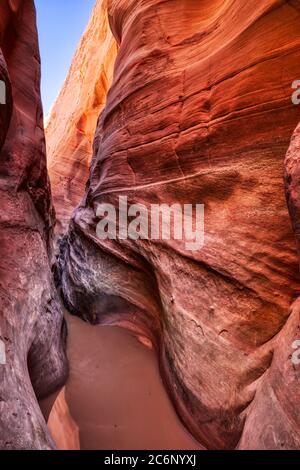 Hidden Slot Canyon dans la terre de Grand Staircase Escalante National Monument, Utah, États-Unis Banque D'Images