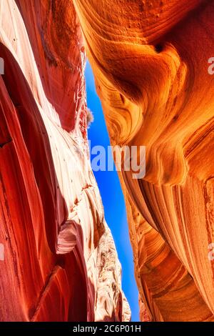 Hidden Slot Canyon dans la terre de Grand Staircase Escalante National Monument, Utah, États-Unis Banque D'Images